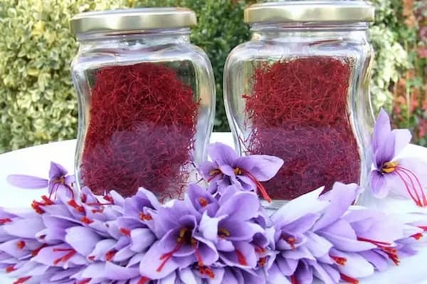 تصویر 1 از قیمت زعفران اصل قاینات + خرید باور نکردنی